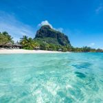 Discover What Guests Are Saying About Their Stay at Westgate