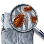 Safe Pest Control: Protecting Endangered Species